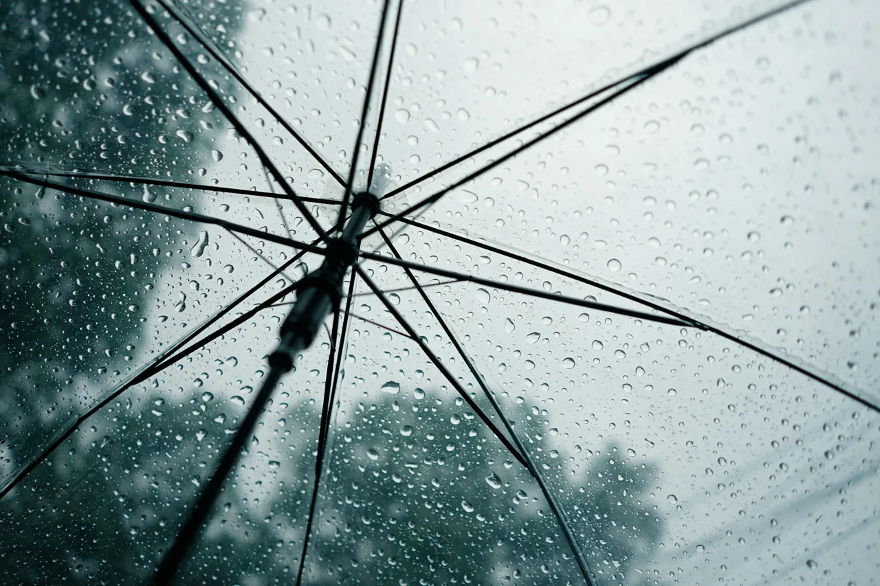 Raindrops on an umbrella, looking up
